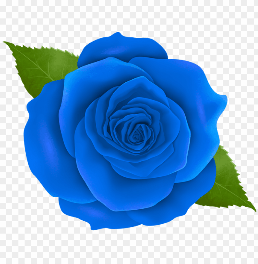 Download blue rose png images background | TOPpng