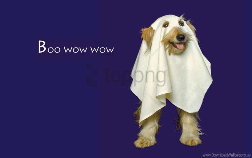 Free download | HD PNG boo wow wow wallpaper background best stock ...
