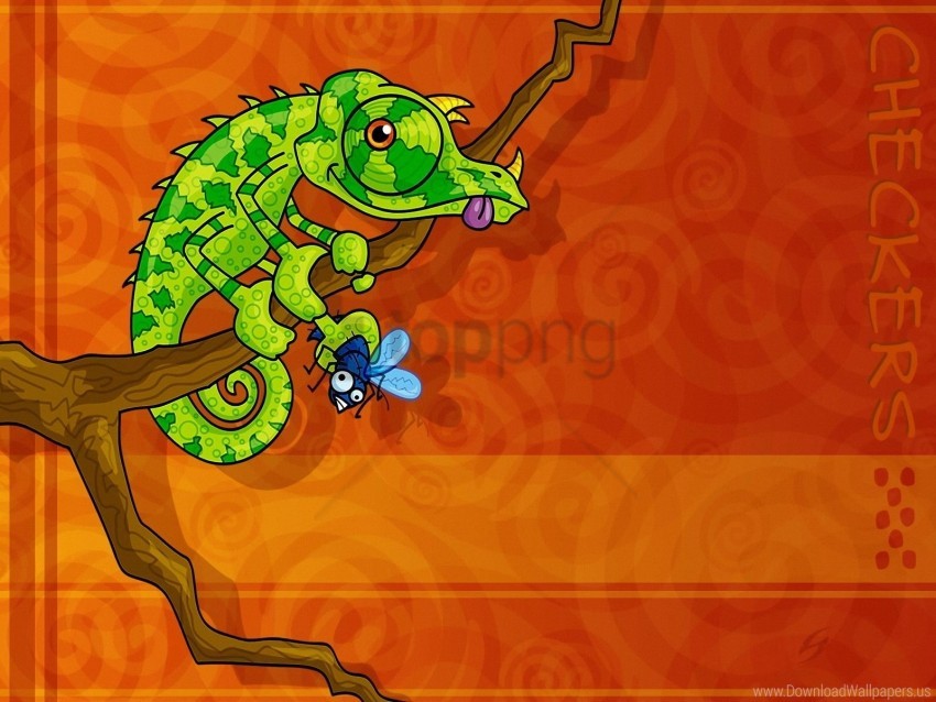 Free download | HD PNG branch chameleon green reptile sit wallpaper ...