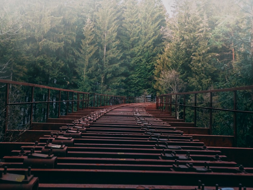 Free download | HD PNG bridge forest fog trees 4k wallpaper | TOPpng