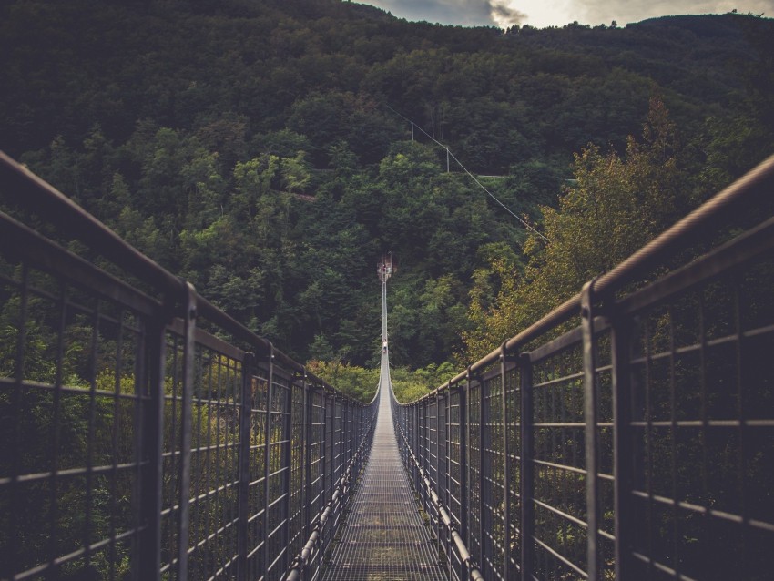Free download | HD PNG bridge suspension bridge forest direction trees ...