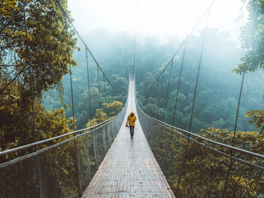 Free download | HD PNG bridge suspension bridge loneliness walk forest ...
