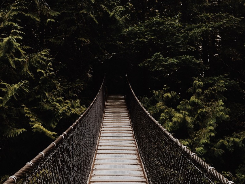 Free download | HD PNG bridge suspension bridge trees forest dark 4k ...