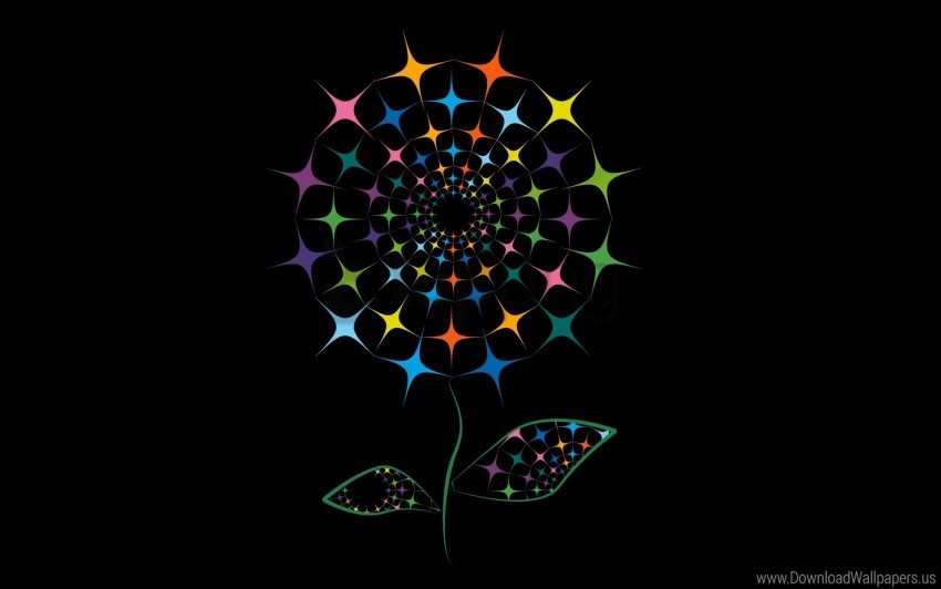 Free download | HD PNG bright drawing flower shiny wallpaper background ...