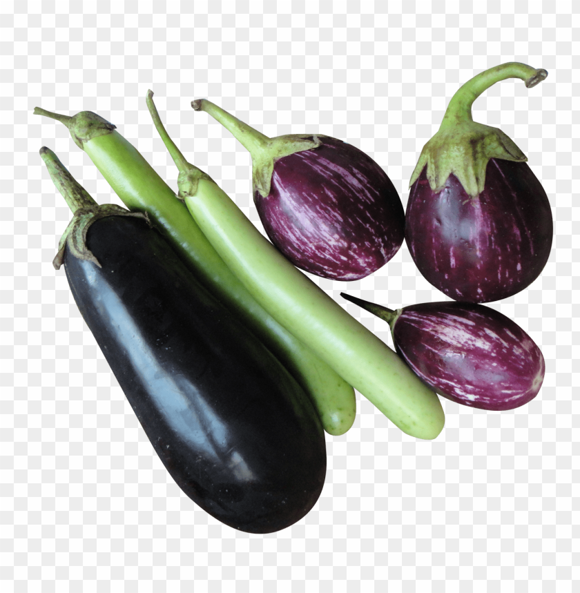 Free download | HD PNG brinjal eggplant PNG images with transparent ...