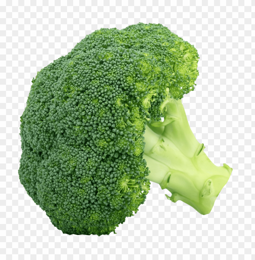 Image result for Broccoli png images