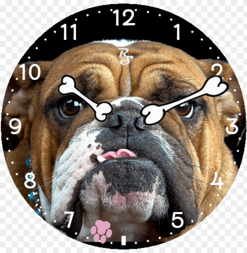 free-download-hd-png-bulldog-face-dog-ki-photo-dikhao-png-transparent