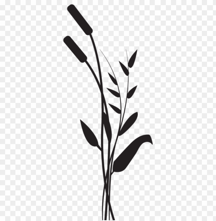 Free download | HD PNG Transparent bulrush silhouette PNG Image - ID ...