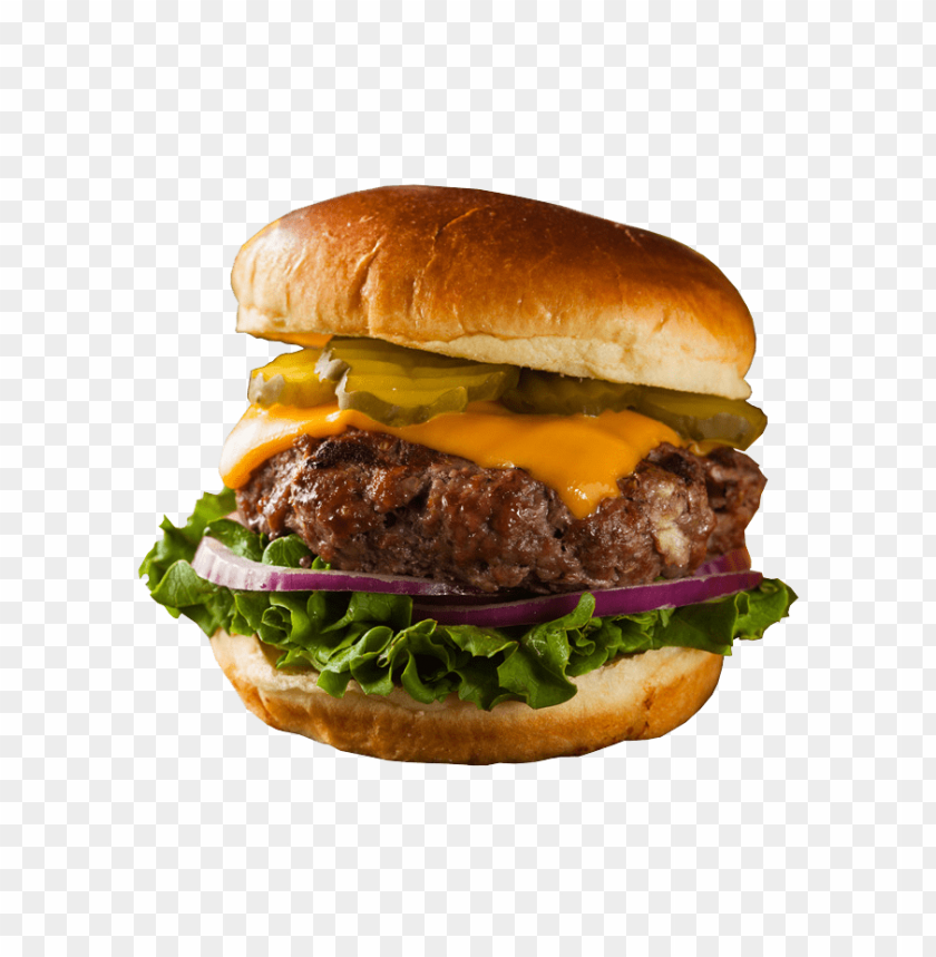 Free download | HD PNG burger PNG images with transparent backgrounds ...