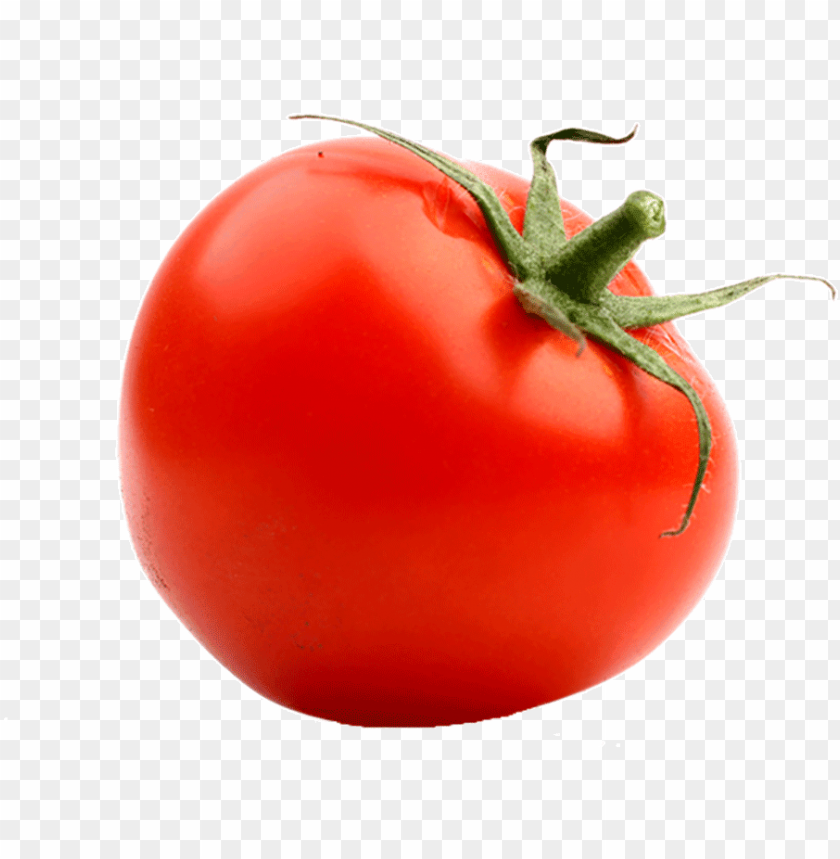 Free download HD PNG but one thing all tomatoes have in common tomato