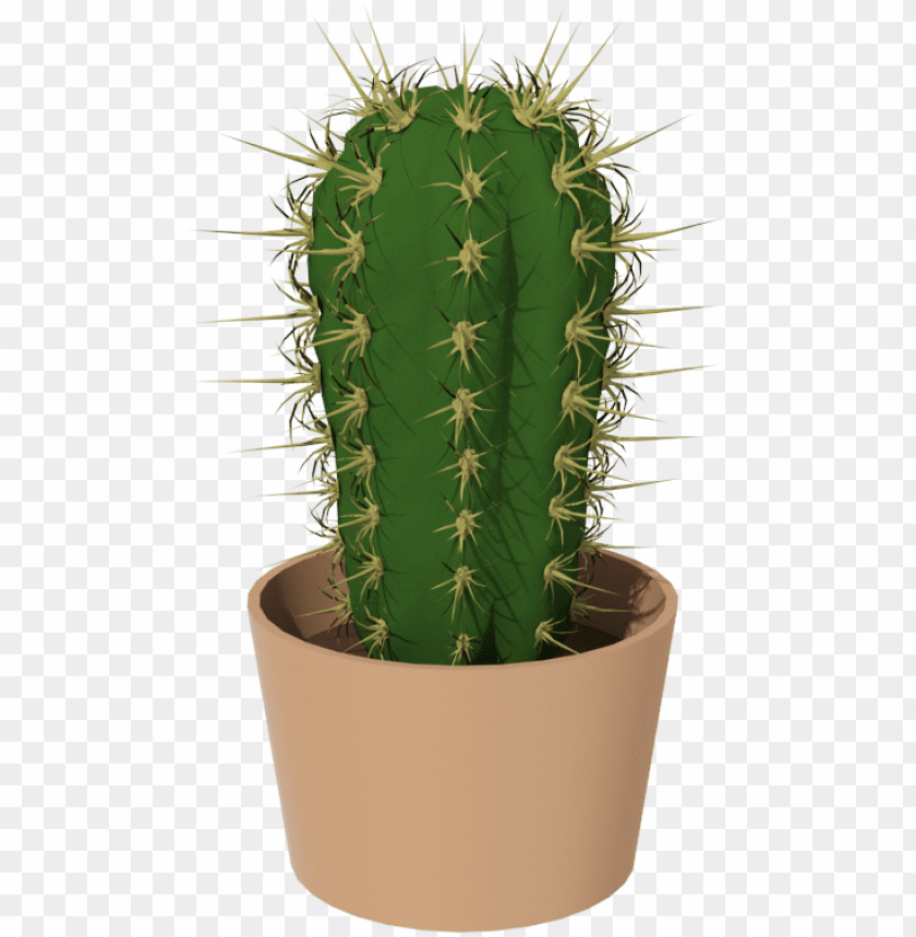 Free download | HD PNG cactus PNG transparent with Clear Background ID ...