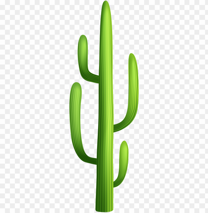 Free download | HD PNG cactus clipart transparent PNG transparent with ...