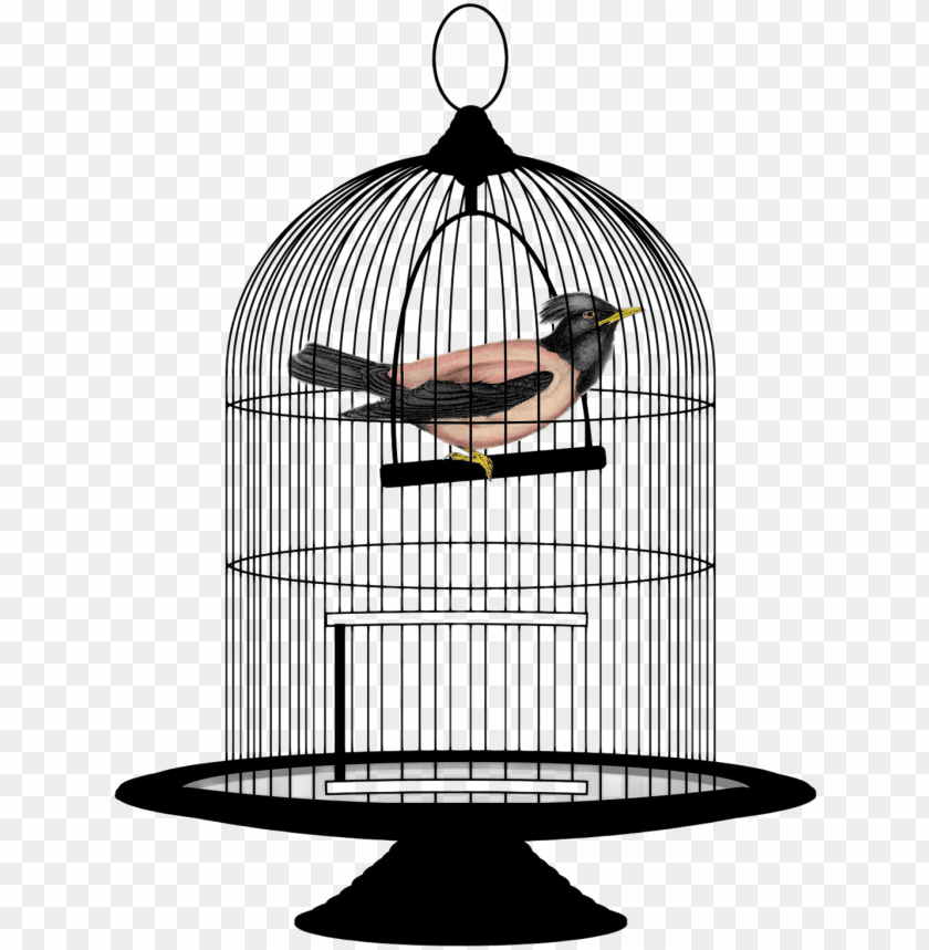 Caged Bird Png Free Download Bird In Cage Png Image With Transparent Background Toppng