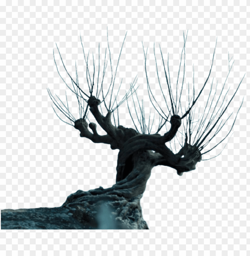 Whomping Willow cutout PNG  clipart images TOPpng