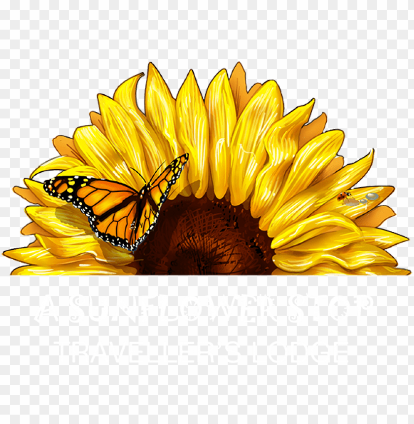 Free Free 113 Sunflower Half Svg Free SVG PNG EPS DXF File
