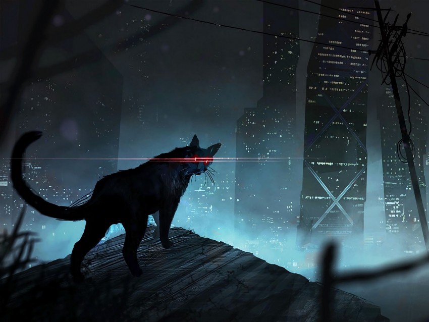 Free download | HD PNG cat black cat eyes rays art 4k wallpaper | TOPpng