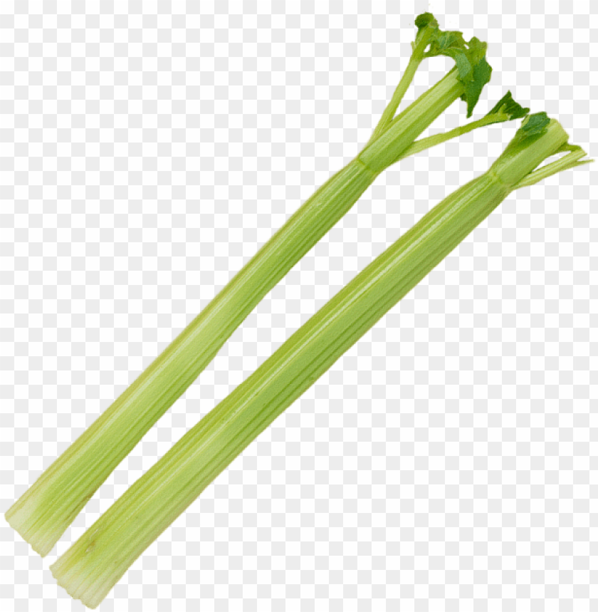 Free download HD PNG celery stick PNG transparent with Clear