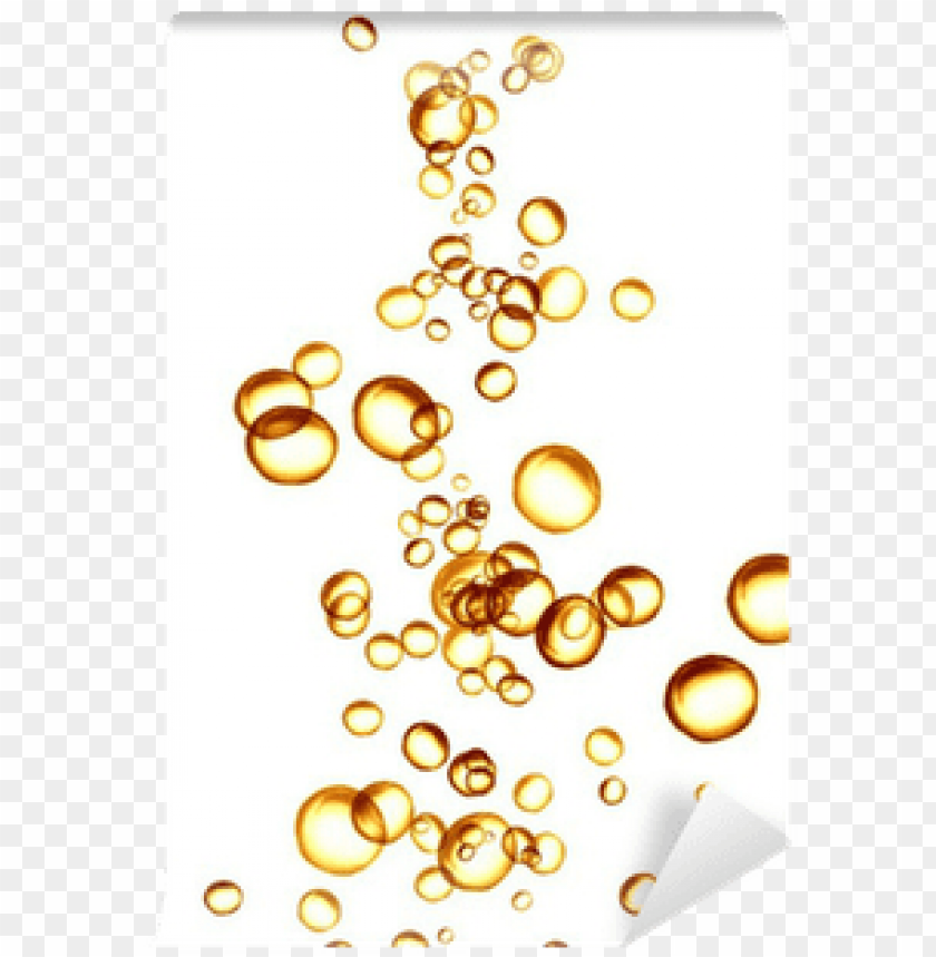 Free download HD PNG champagne bubbles no background PNG transparent