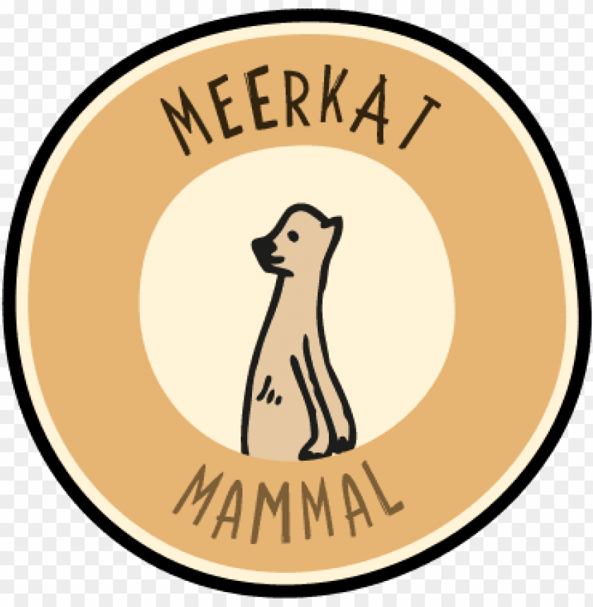 Free download | HD PNG chester zoo asian elephants PNG transparent with