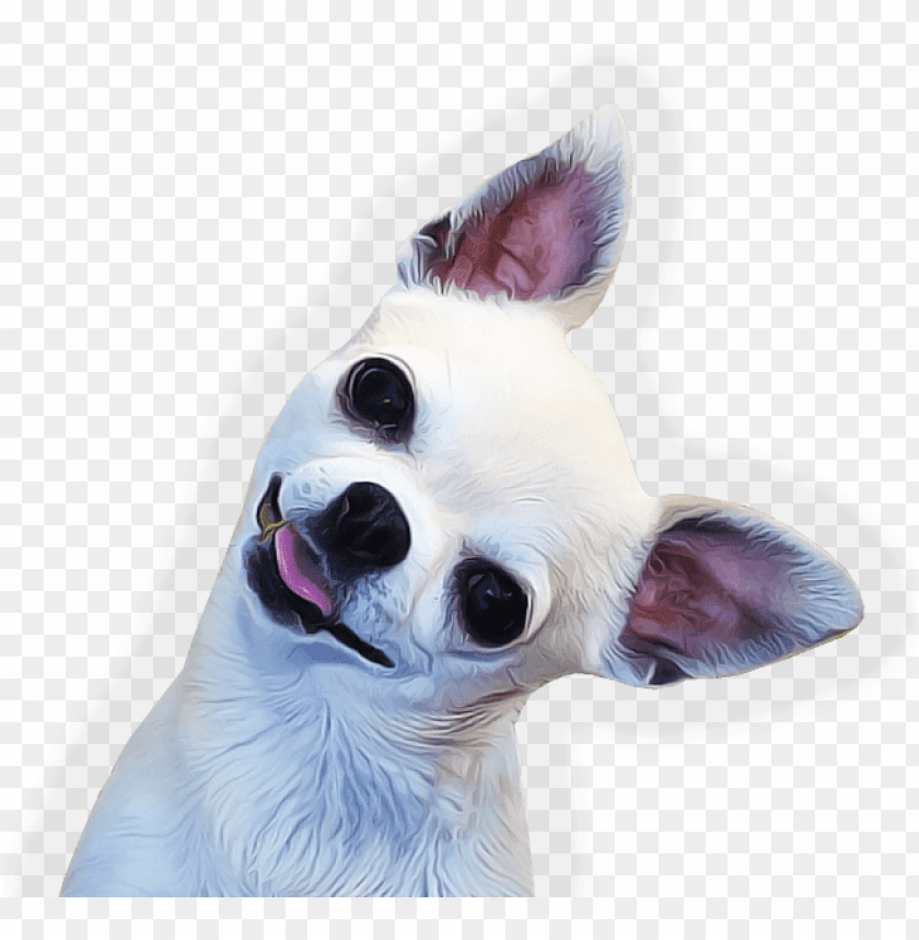 Adorable Chihuahua Face Svg - l2sanpiero