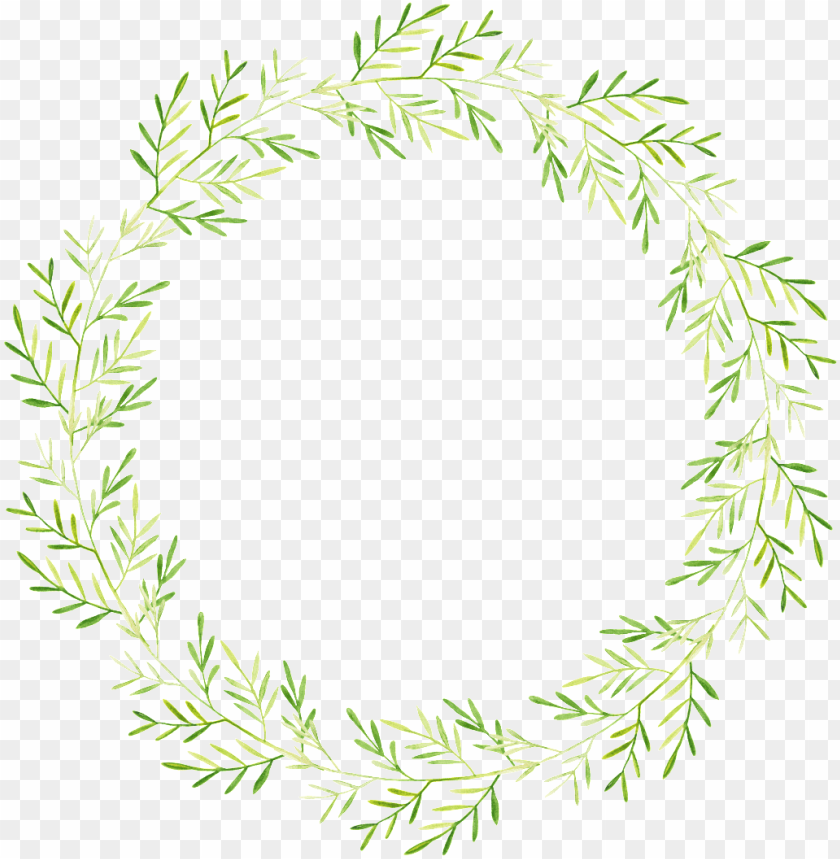 Chili Green Leaf Cartoon Transparent Watercolor Vines Wreath Transparent Background Png Image With Transparent Background Toppng