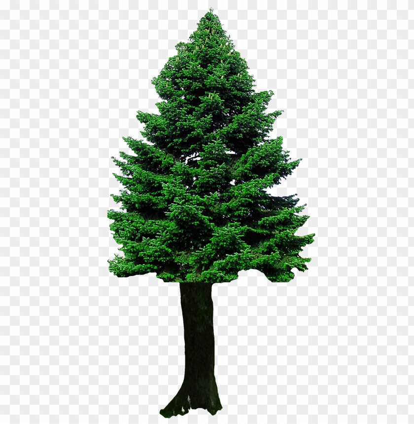 Free download | HD PNG Transparent Background PNG of christmas tree ...