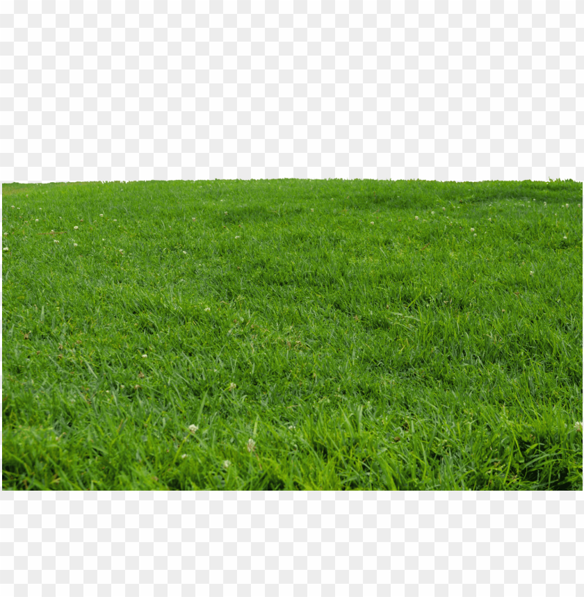 Free download | HD PNG clear png PNG transparent with Clear Background ...