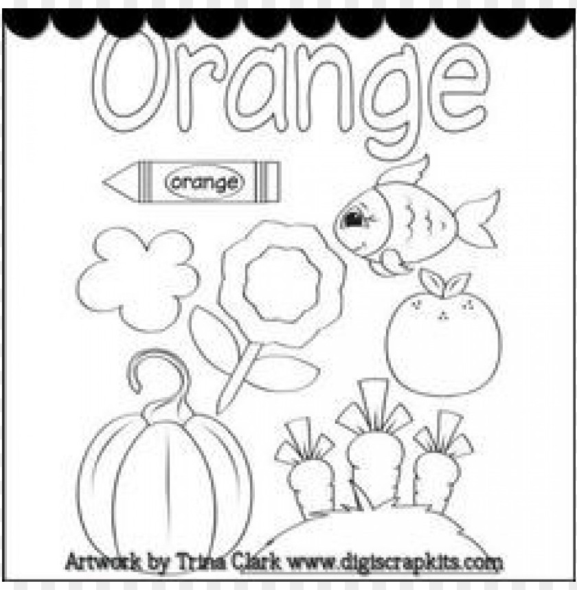 Free download HD PNG color orange coloring page PNG transparent with
