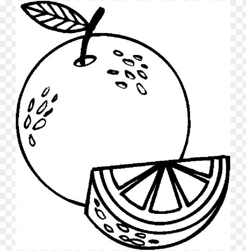 Free download | HD PNG color orange coloring page PNG transparent with ...