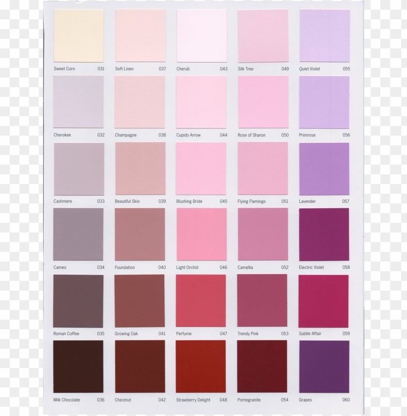 Free download HD PNG color place paint colors PNG transparent with