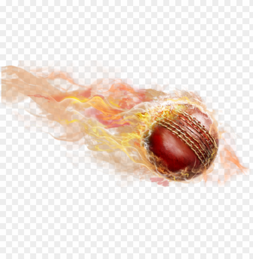 Free download HD PNG cricket ball fire png cricket PNG transparent
