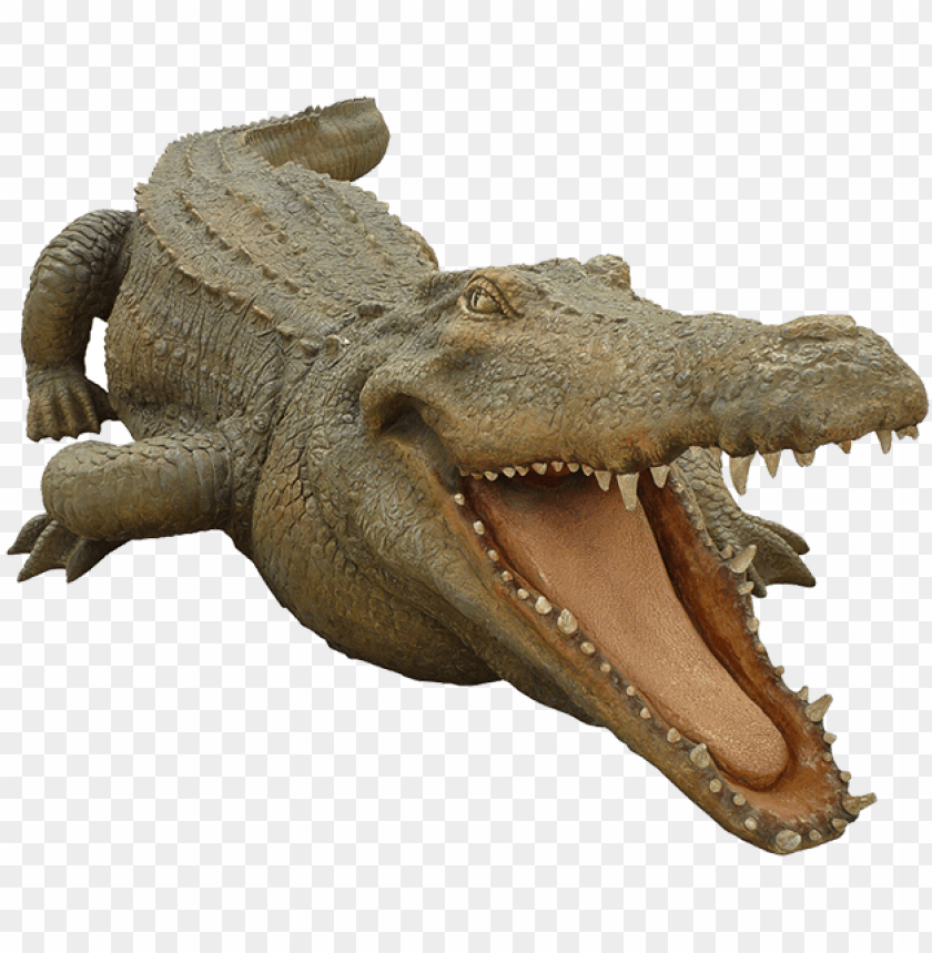 crocodile free png transparent background images free philippine crocodile png image with transparent background toppng philippine crocodile png image