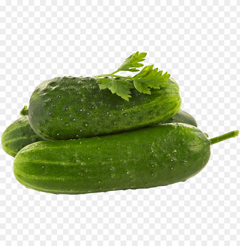 Free download | HD PNG cucumber PNG images with transparent backgrounds ...