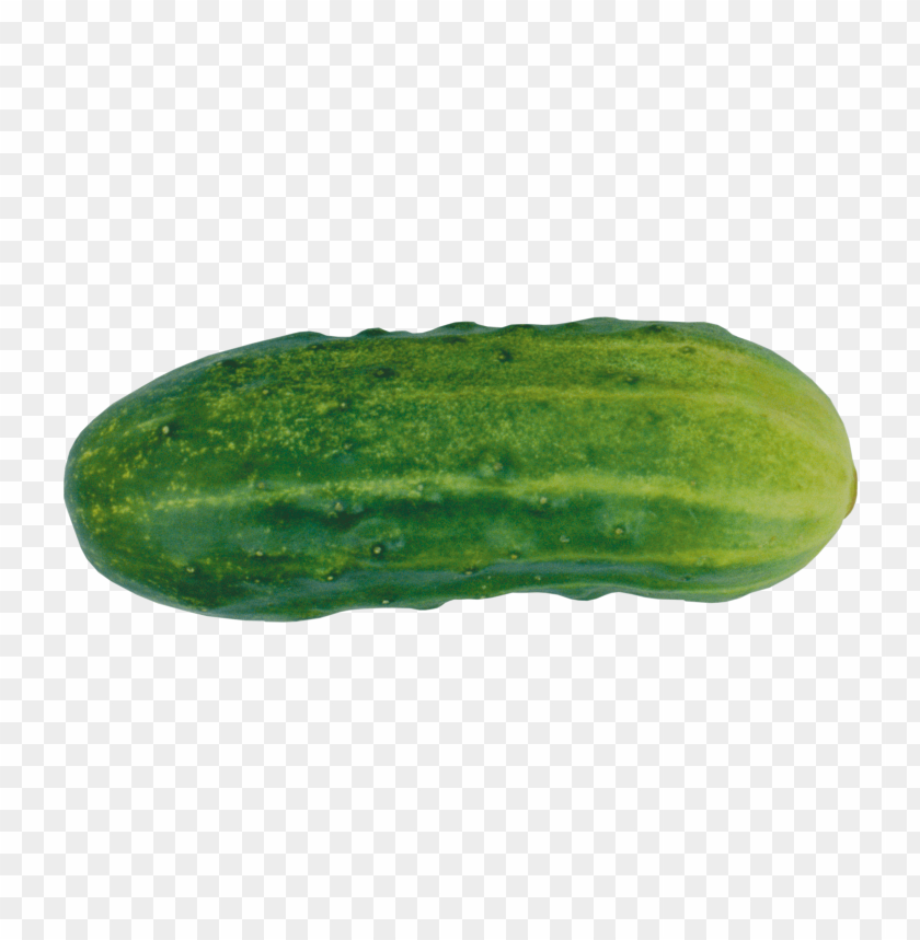 Free download | HD PNG cucumber PNG images with transparent backgrounds ...