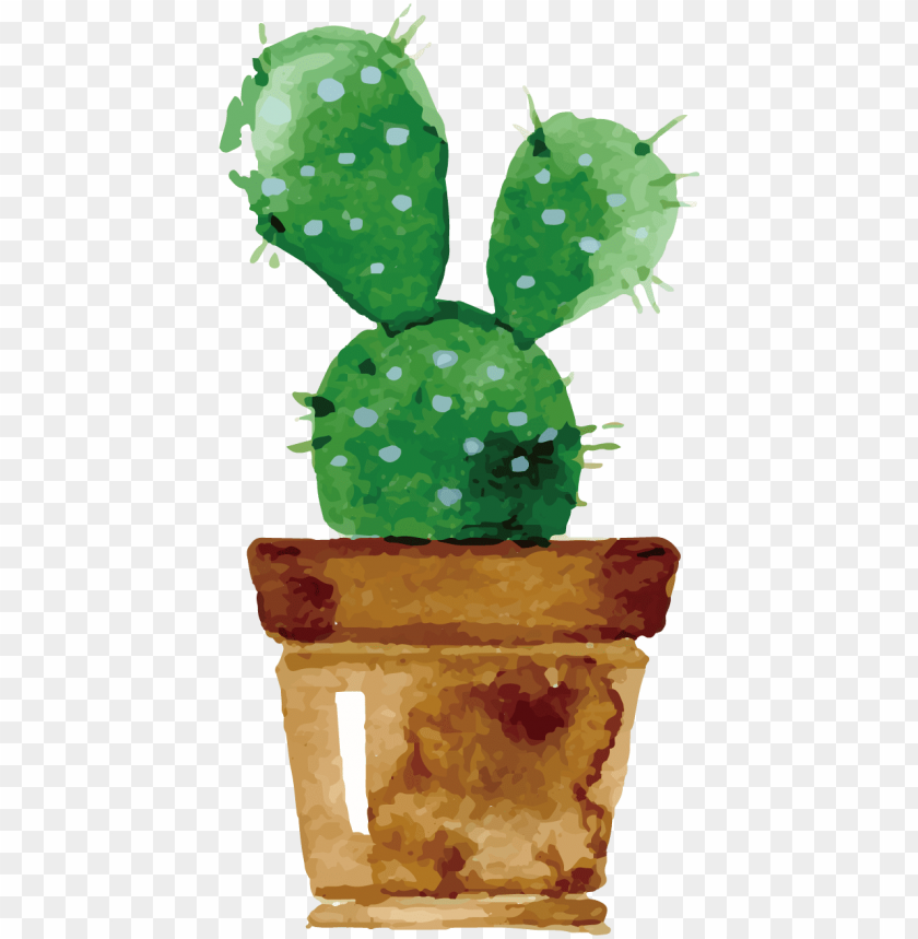 Cute Cactus Drawing Watercolor Png Image With Transparent Background Toppng