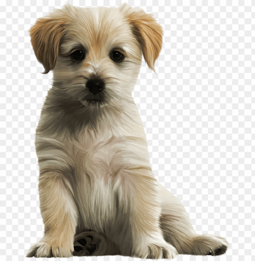 Free download | HD PNG cute dog PNG transparent with Clear Background ...