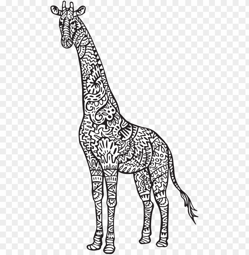 Download Cute Giraffe Coloring Pages Chaihuthuytinh Notebook Journal Dot Grid Graph Lined Blank No Lined Png Image With Transparent Background Toppng Yellowimages Mockups