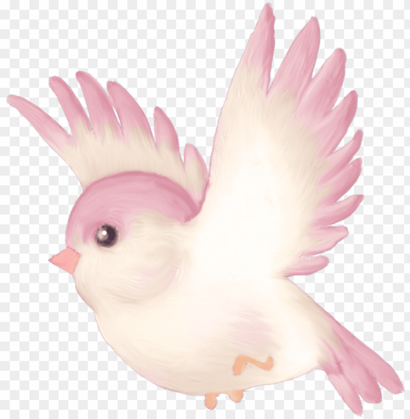 cute pink bird cartoon png image with transparent background toppng cute pink bird cartoon png image with