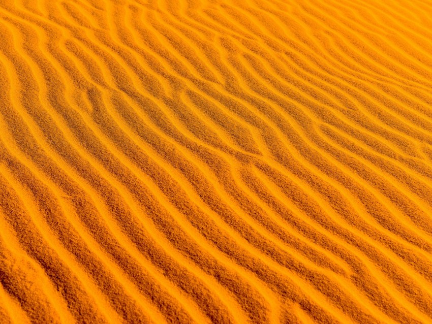 Free download | HD PNG desert sand wavy texture 4k wallpaper | TOPpng