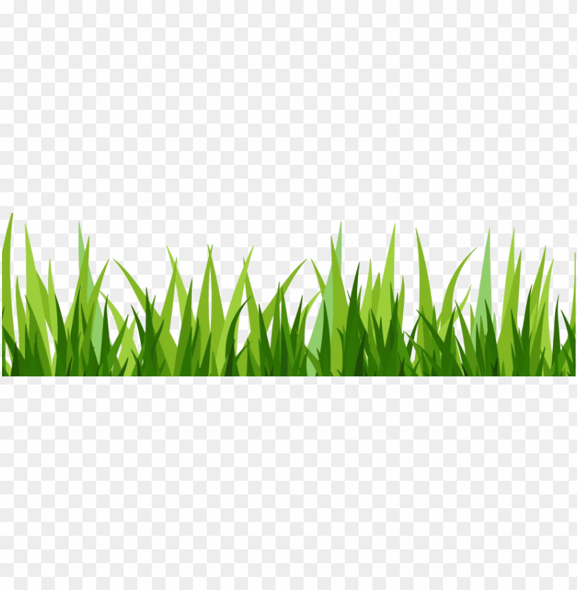 Free download | HD PNG dibujo hierba png grass pasto vector PNG ...