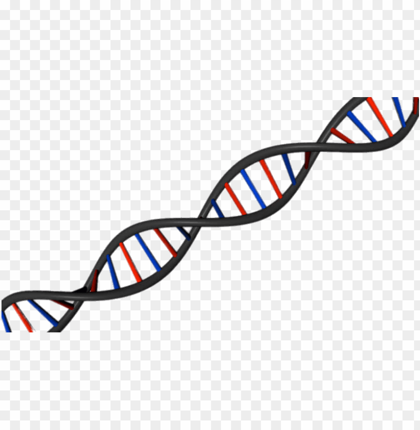 Dna String Diagonal Png Image With Transparent Background Toppng