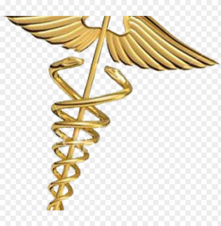 Free download | HD PNG caduceus medical symbol in gold design PNG ...