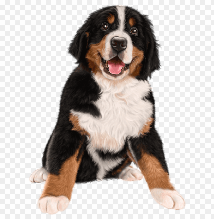 Free download | HD PNG dog transparent | TOPpng