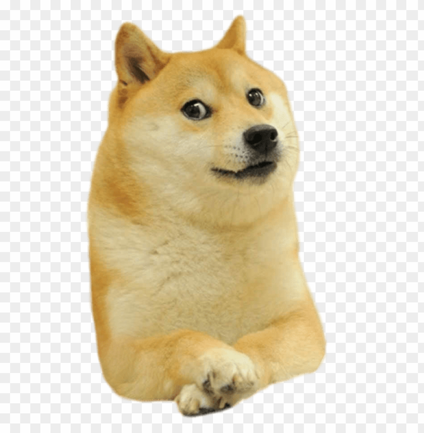 Download doge facing right png - Free PNG Images | TOPpng