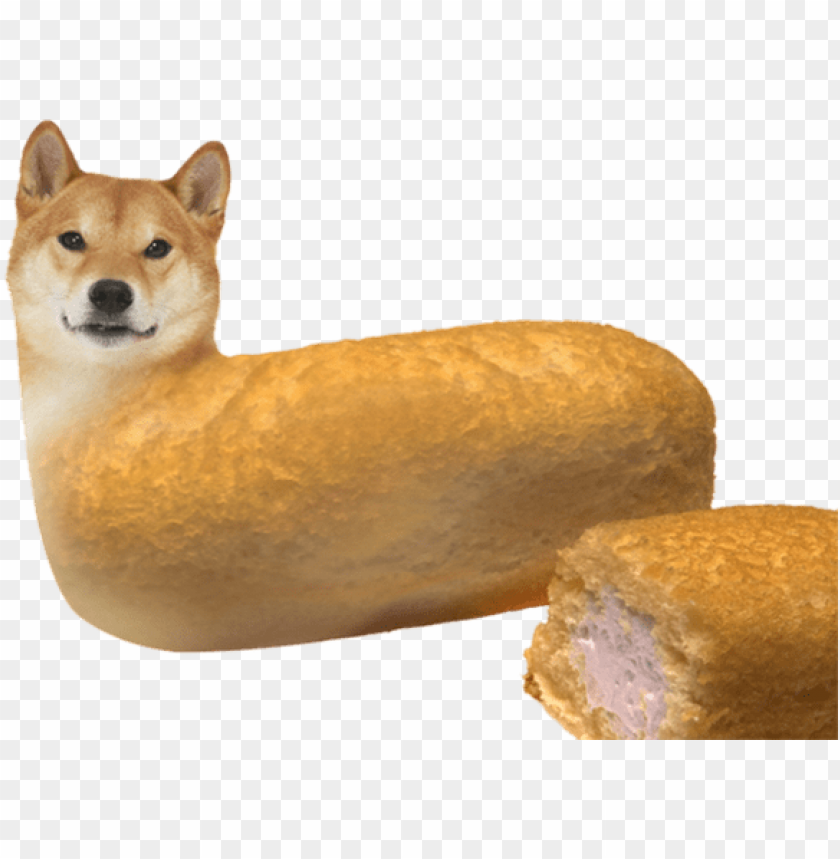 Free download | HD PNG doge png photo memes with no background PNG ...