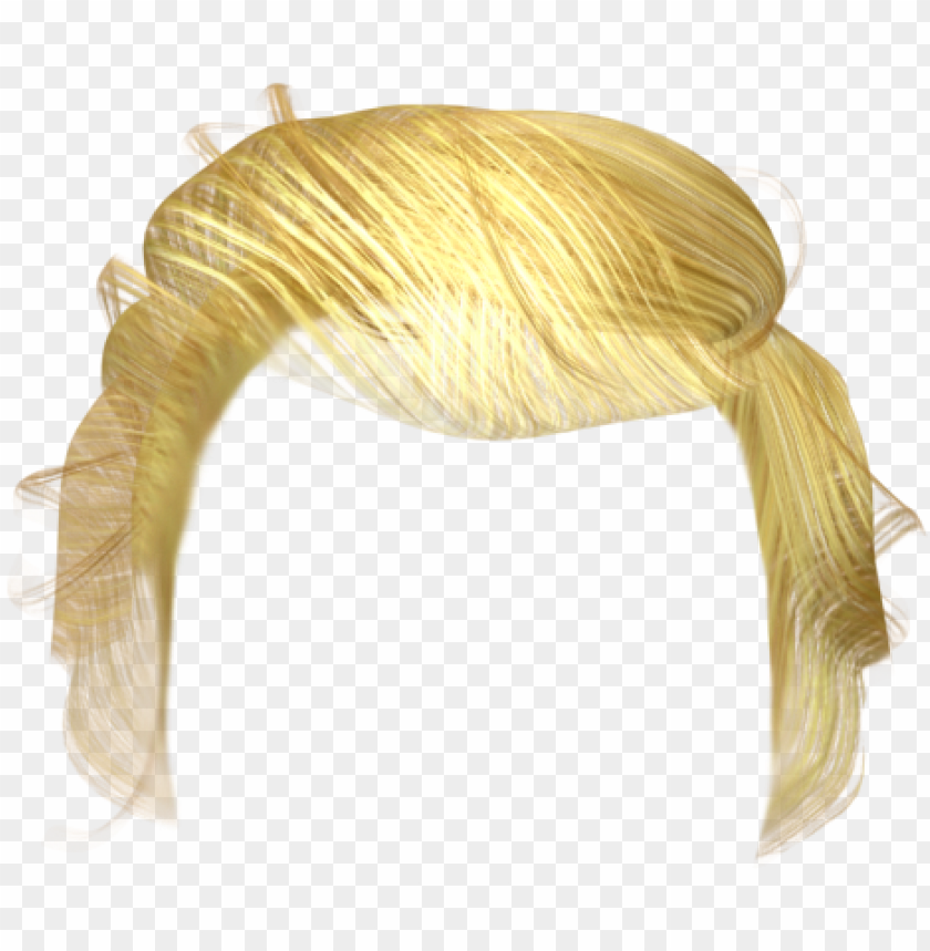 Donald Trump Hair Png Donald Trump Hair Png Transparent Png Image With Transparent Background Toppng - giorno giovanna roblox hair