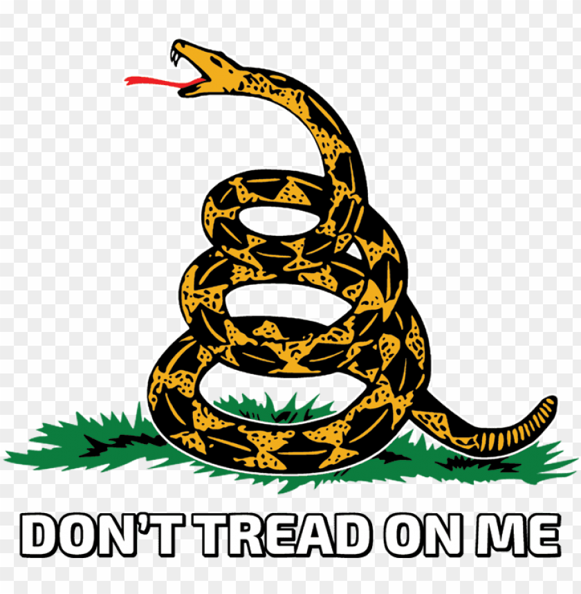Free download | HD PNG dont tread on me snake tattoos gadsden flag dont ...