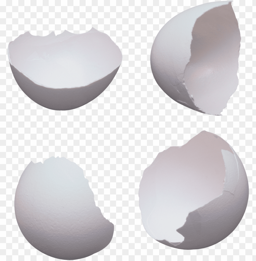 Free download | HD PNG download cracked egg shell PNG transparent with ...