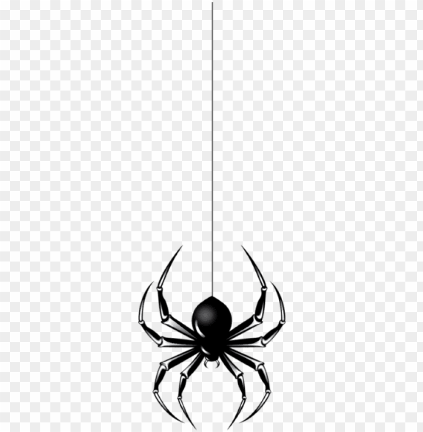 Free download | HD PNG download halloween black spider png images ...