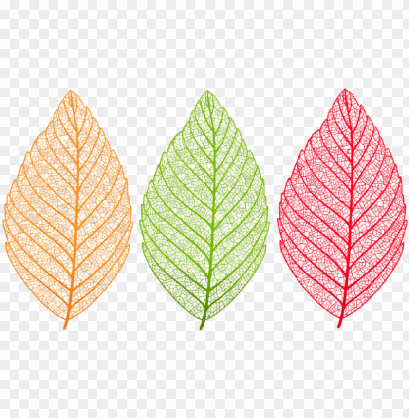 Download Transparent Leaves Set Clipart Png Photo Translucent